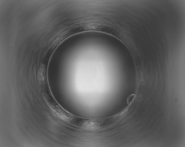 X0000078310174200611031248