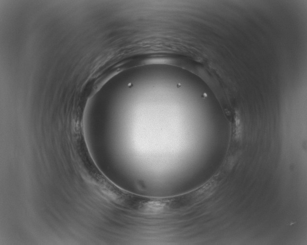 X0000078310176200611031248