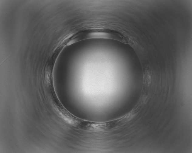 X0000078310188200611031248