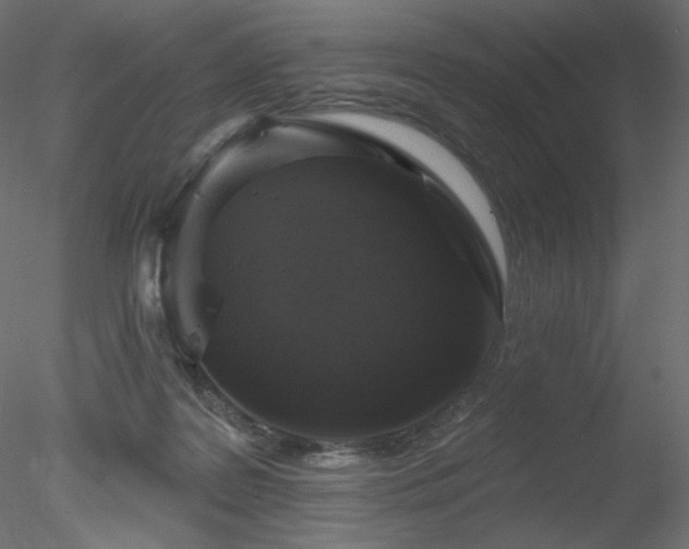 X0000078310219200611031247