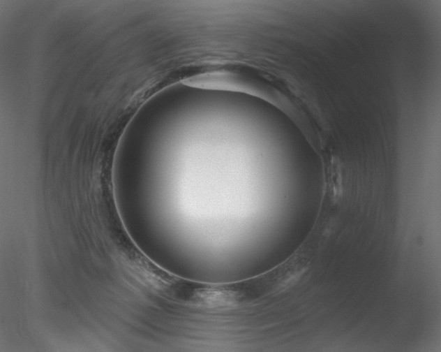 X0000078310221200611031247