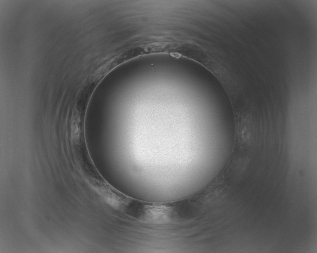 X0000078310226200611031247