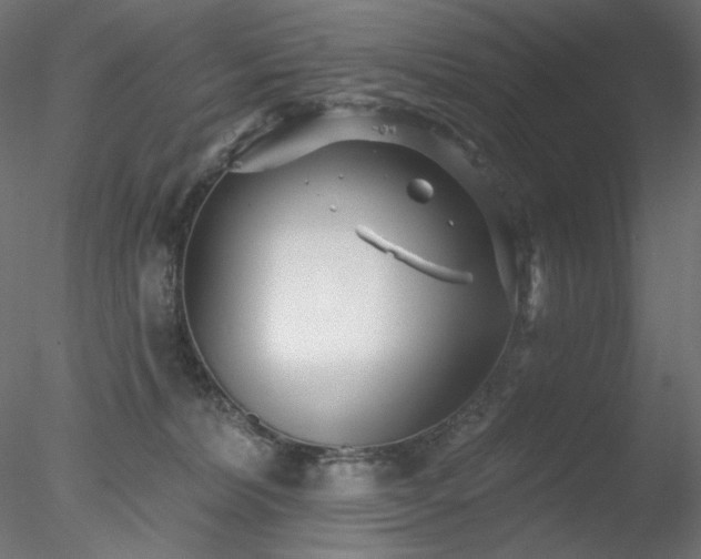 X0000078310228200611031247
