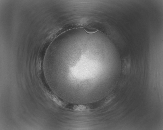 X0000078310230200611031247