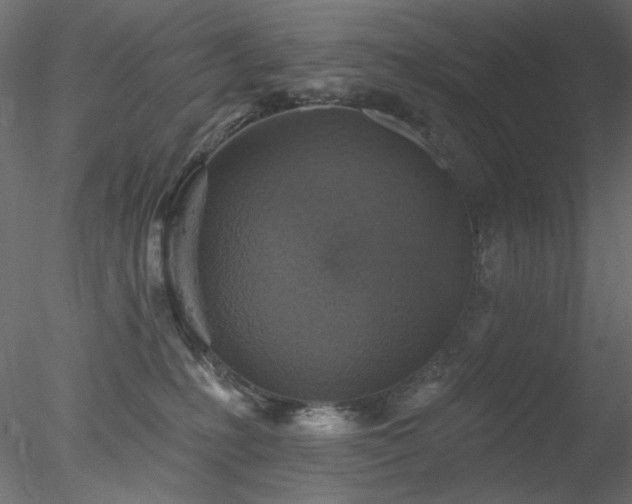 X0000078310231200611031247