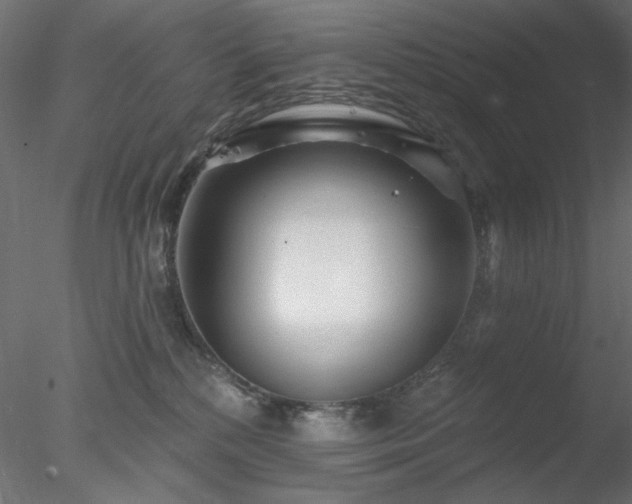 X0000078310232200611031247
