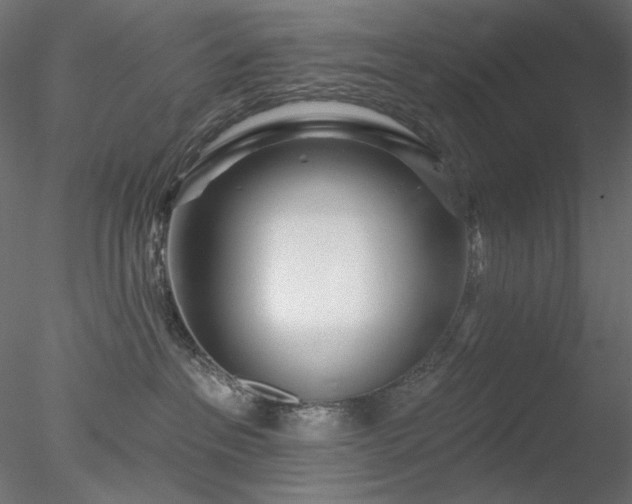 X0000078310237200611031247