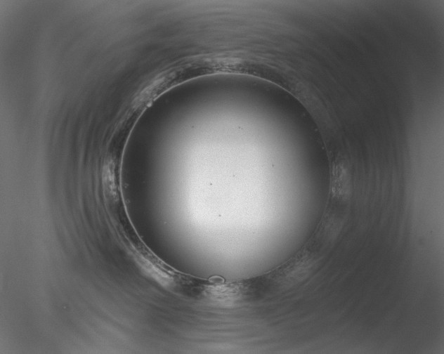 X0000078310238200611031247