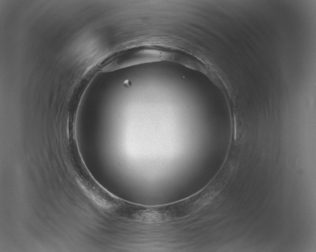 X0000078310253200611031246