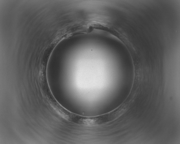 X0000078310265200611031246