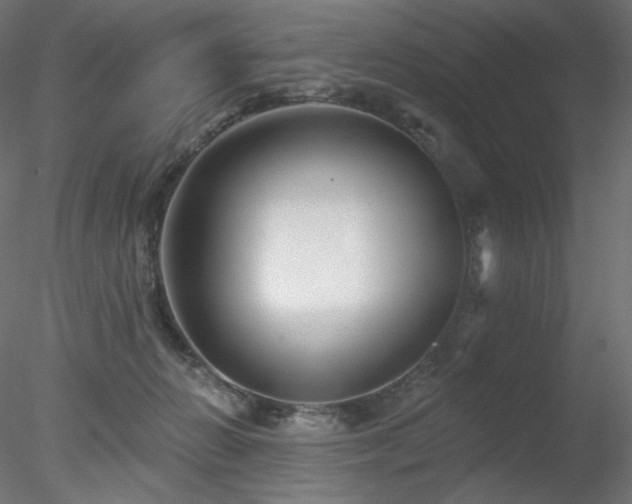 X0000078310270200611031246