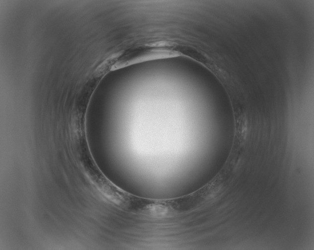 X0000078310272200611031246