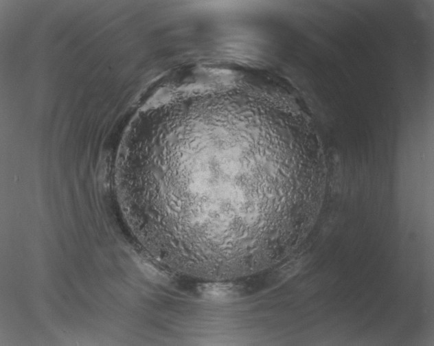 X0000078310273200611031246