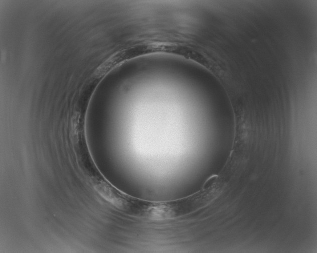 X0000078310275200611031246