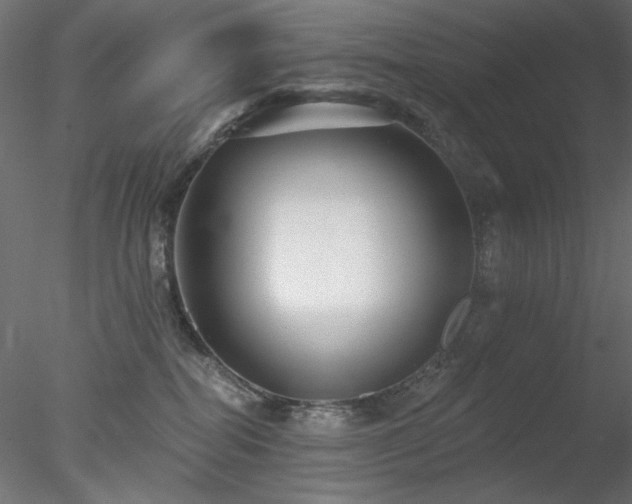 X0000078310282200611031247