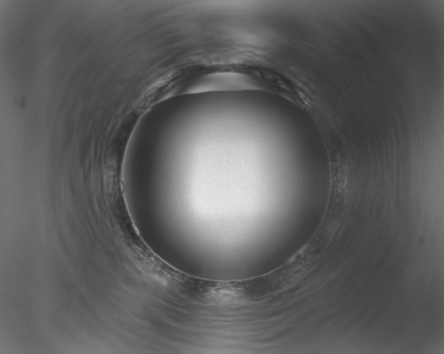 X0000078310283200611031247