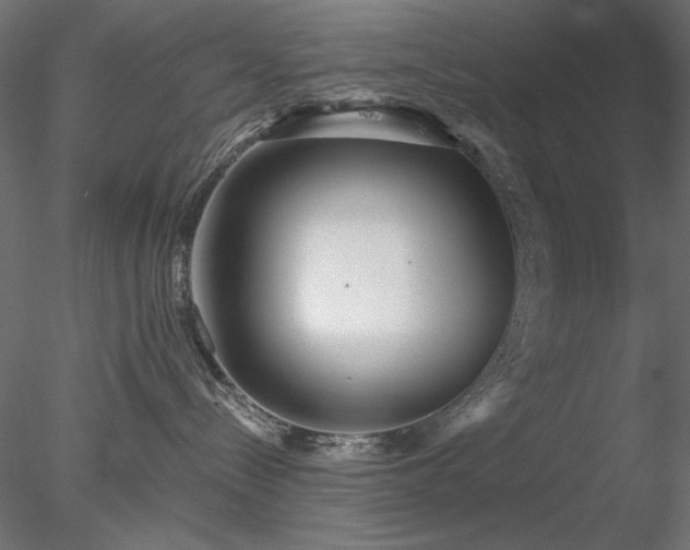 X0000078310288200611031247