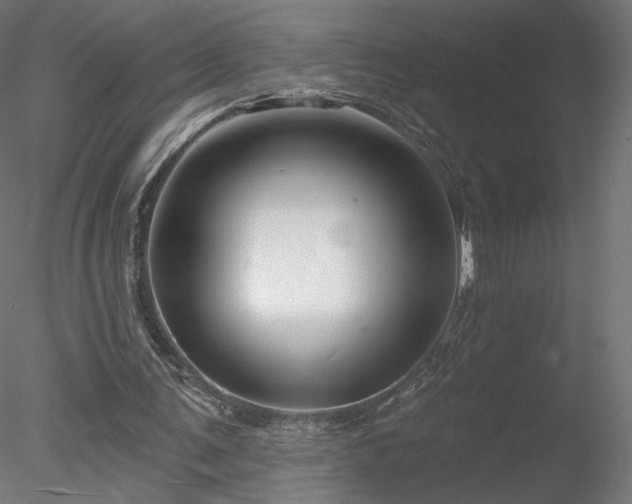 X0000078310291200611031246