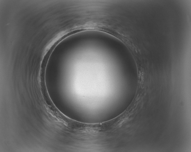 X0000078310292200611031246