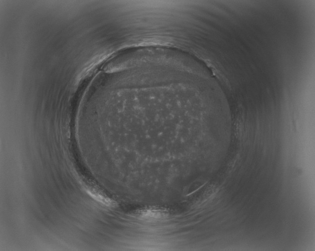 X0000078310303200611031246
