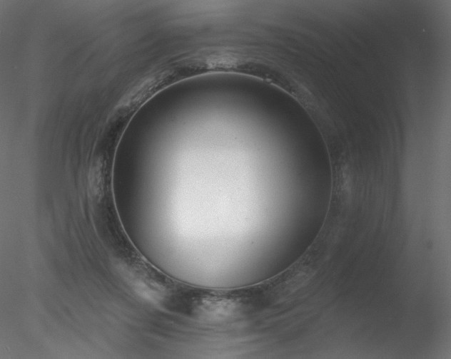 X0000078310311200611031246