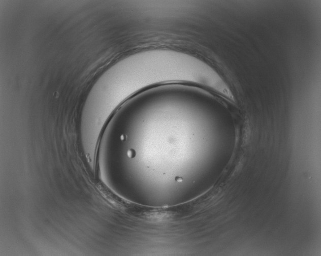 X0000078310313200611031245