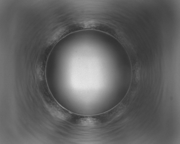 X0000078310316200611031245