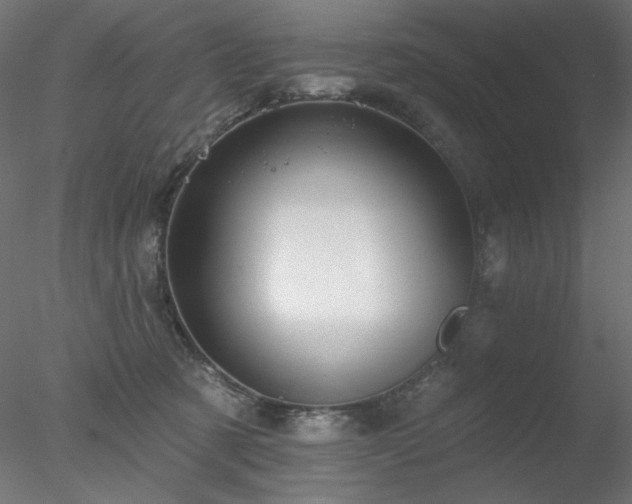 X0000078310321200611031245