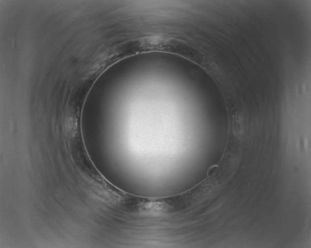 X0000078310324200611031245