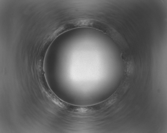 X0000078310326200611031245