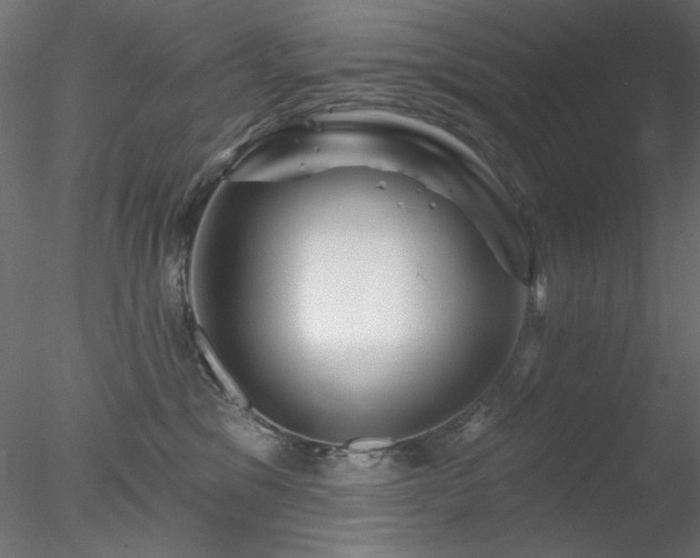 X0000078310329200611031245