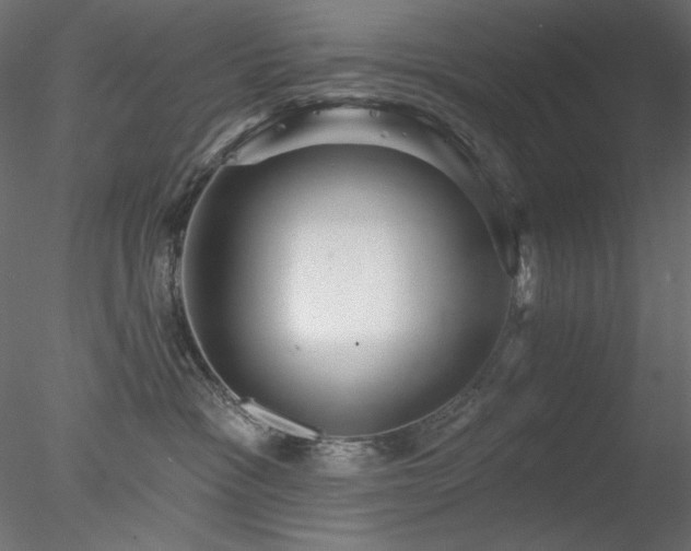 X0000078310333200611031245