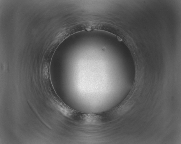 X0000078310336200611031245