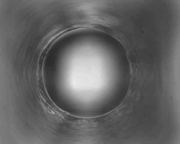 X0000078310338200611031244