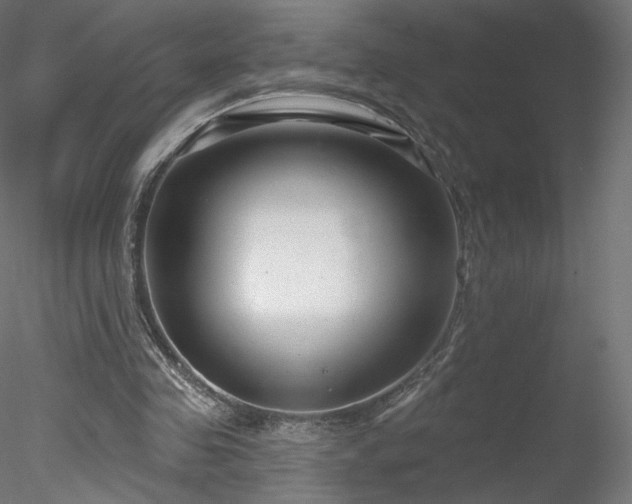X0000078310341200611031244