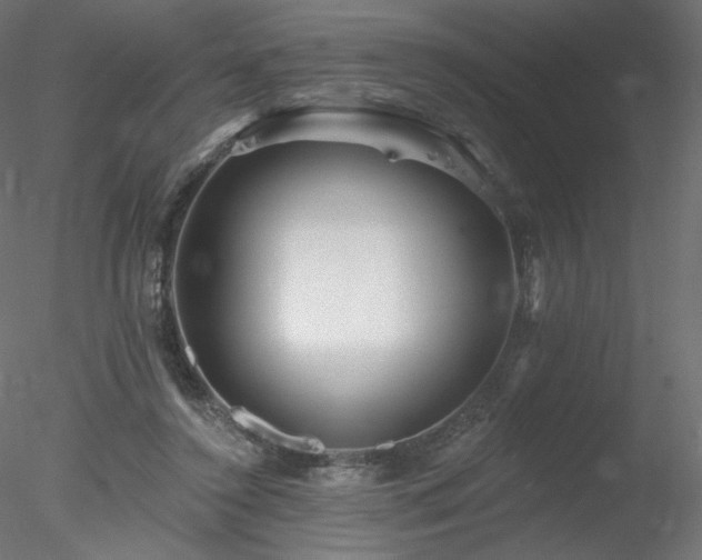 X0000078310356200611031245