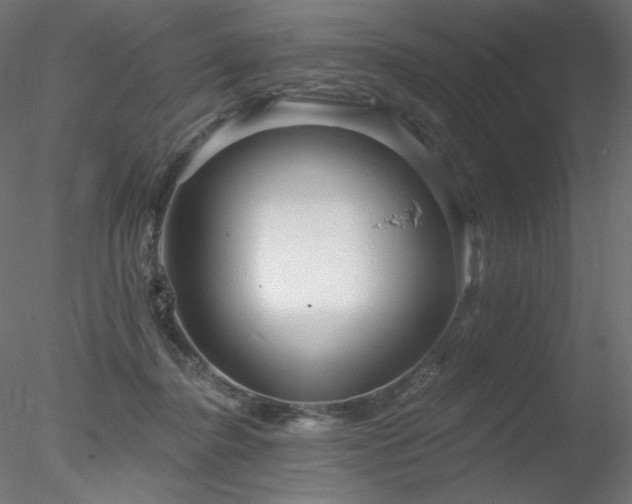 X0000078310364200611031245