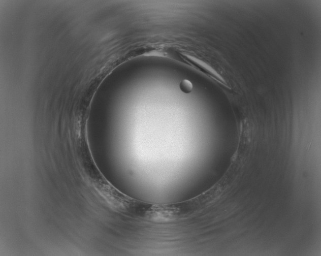 X0000078310368200611031245