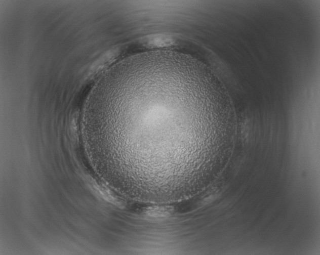 X0000078310373200611031245