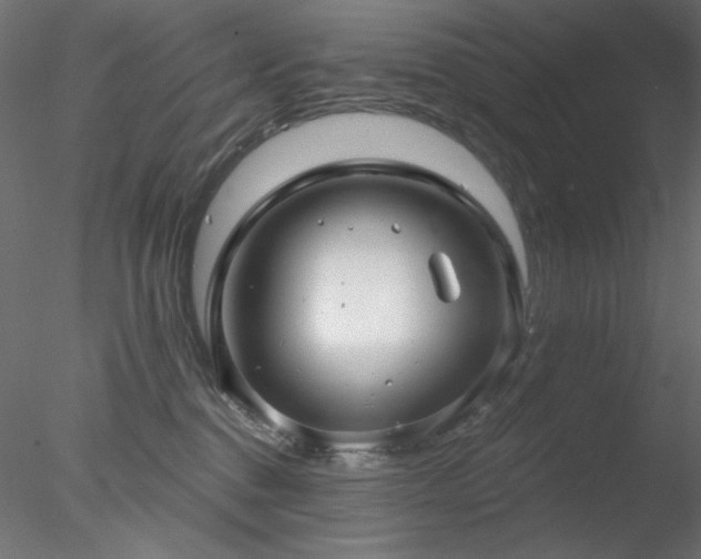 X0000078310376200611031245