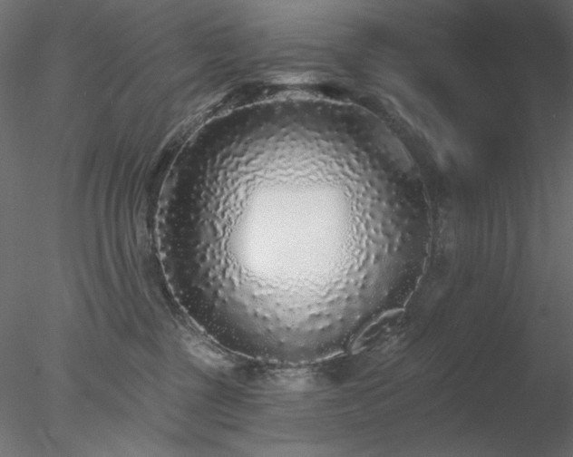 X0000078310377200611031245