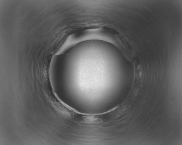 X0000078310380200611031245