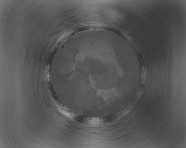 X0000078310383200611031245