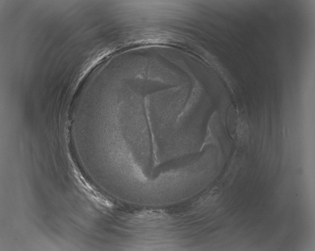 X0000078310386200611031244