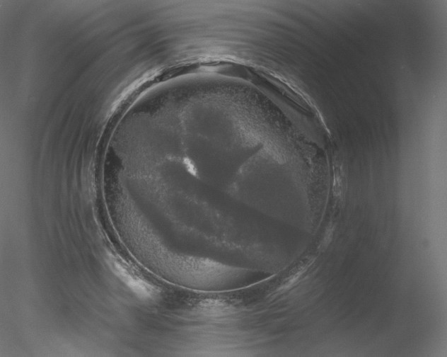 X0000078310390200611031244