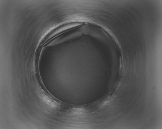 X0000078310391200611031244