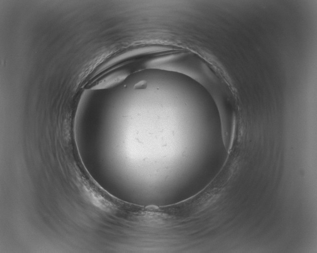 X0000078310393200611031244