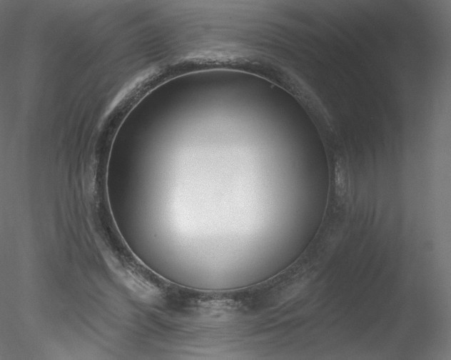 X0000078310396200611031244