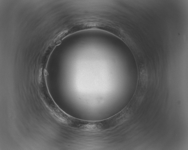 X0000078310406200611031244