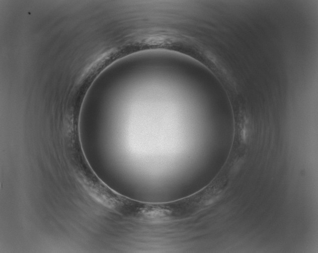 X0000078310407200611031244